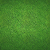 CANADA GREEN
